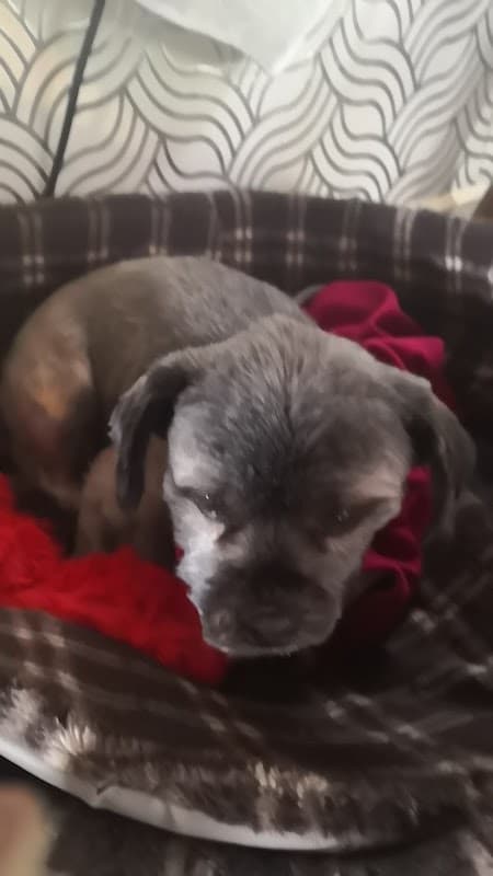 Hair & Hounds - Hair Salons in todmorden