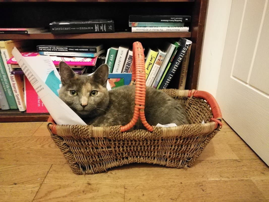 Perfect For Pets The Pet Shop - Pet Shops in todmorden