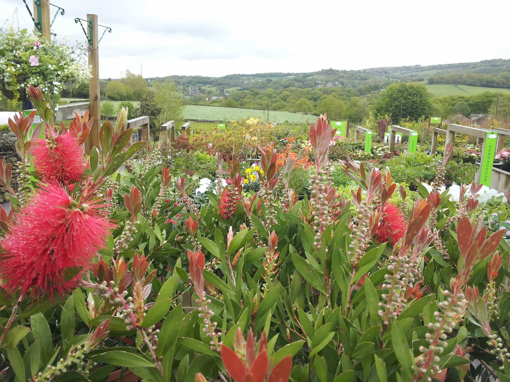 Totties Garden Centre - Garden in new mill