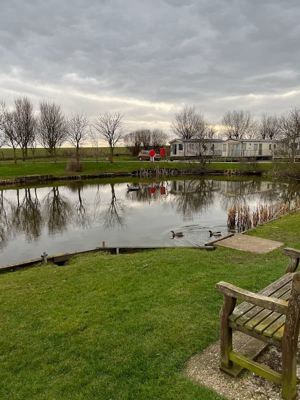 A tranquil pond reflects trees and a holiday home, with ducks swimming nearby and a bench in the foreground.