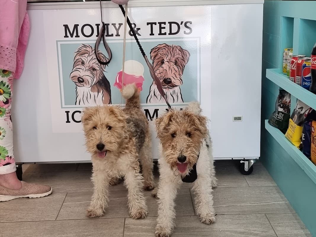 Molly & Ted's Ice-cream Bar - Ice Cream Shops in wakefield