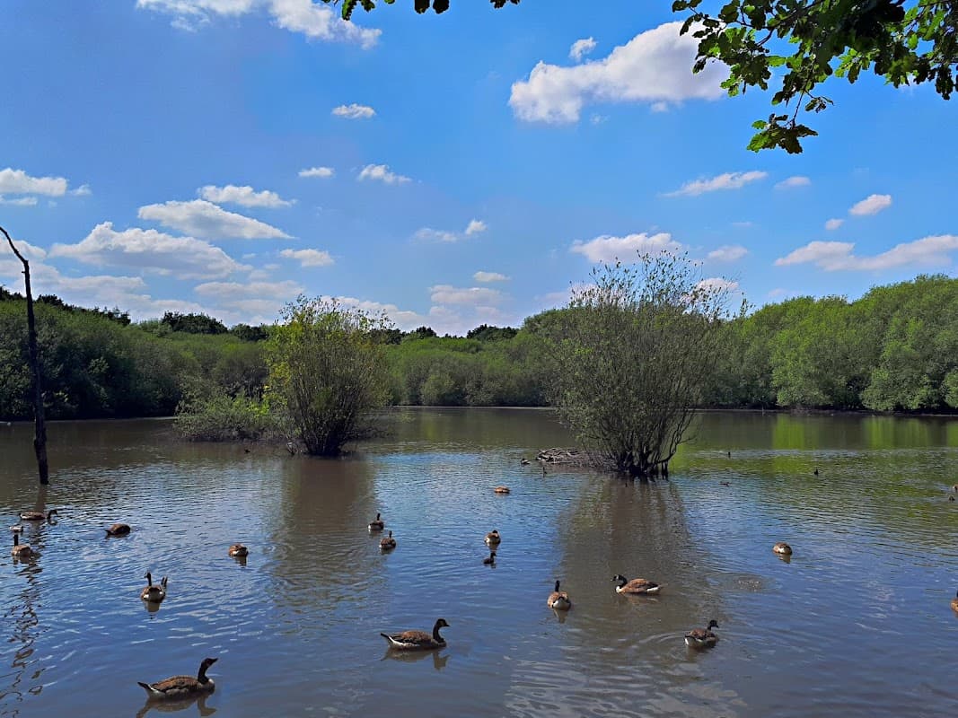 Stanley Marsh - Park in wakefield