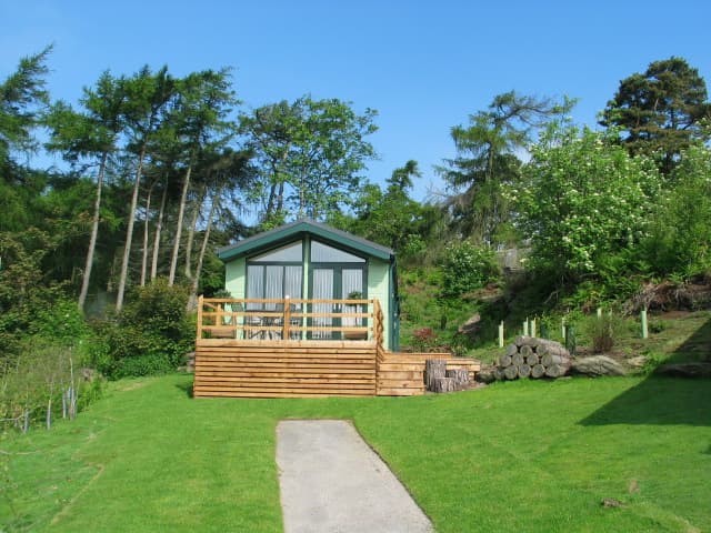 Warren Forest Caravan Park - Campsite in warsill
