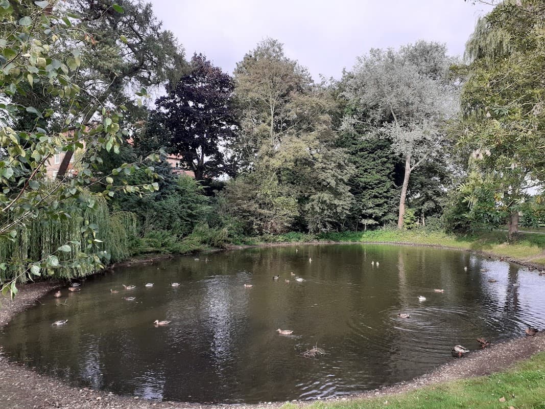 A serene pond surrounded by trees, with ducks swimming and floating on the water's surface in Warthill, Yorkshire.