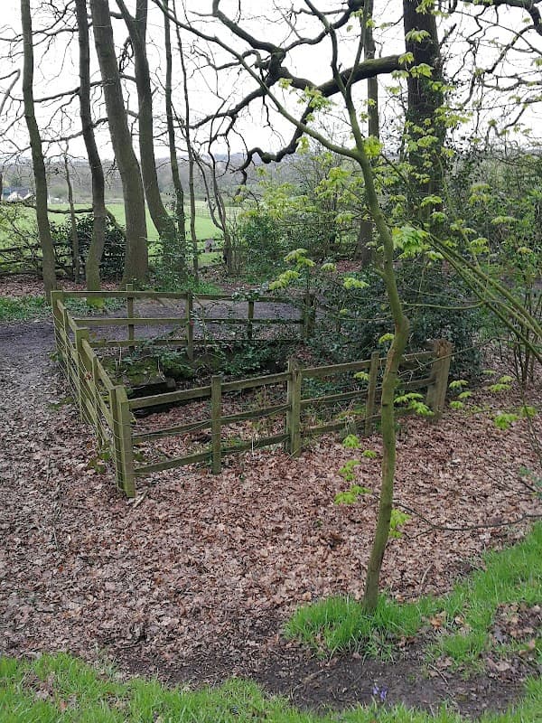 Roman Well - Historic Site in wath upon dearne