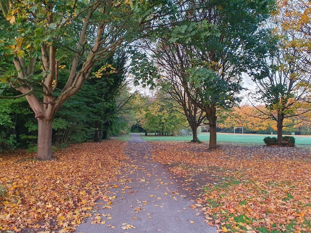 A tree-lined path covered in autumn leaves leads to a grassy area with goalposts in Wath Park, Yorkshire.