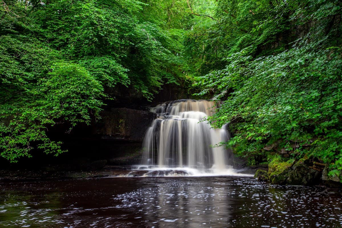 A serene waterfall cascades through lush green foliage into a dark pool, surrounded by vibrant trees in West Burton.