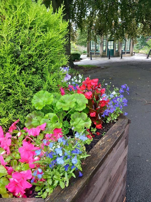 Colorful flower bed with pink, red, and blue blooms, framed by green foliage, near a park building in Burley in Wharfedale.