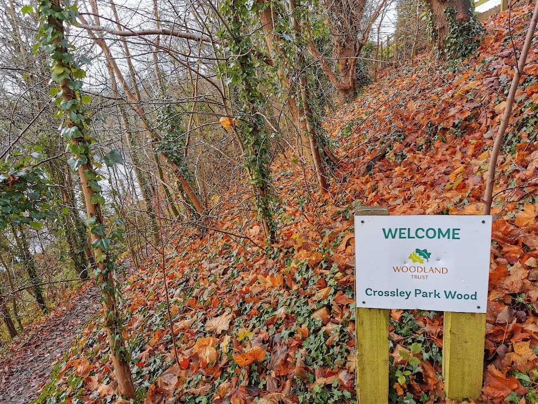 Crossley Park Wood - Park in wetherby