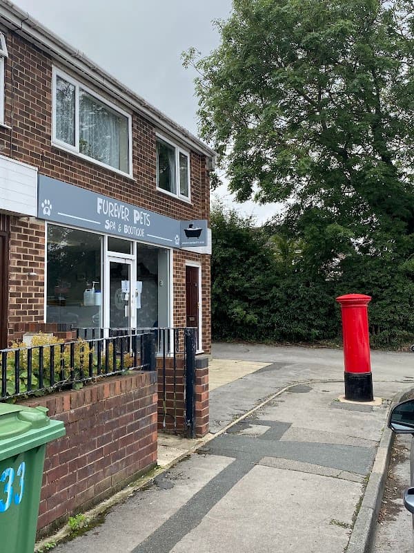 Furever Pets Spa and Boutique storefront with a red post box and green bin nearby, surrounded by greenery.