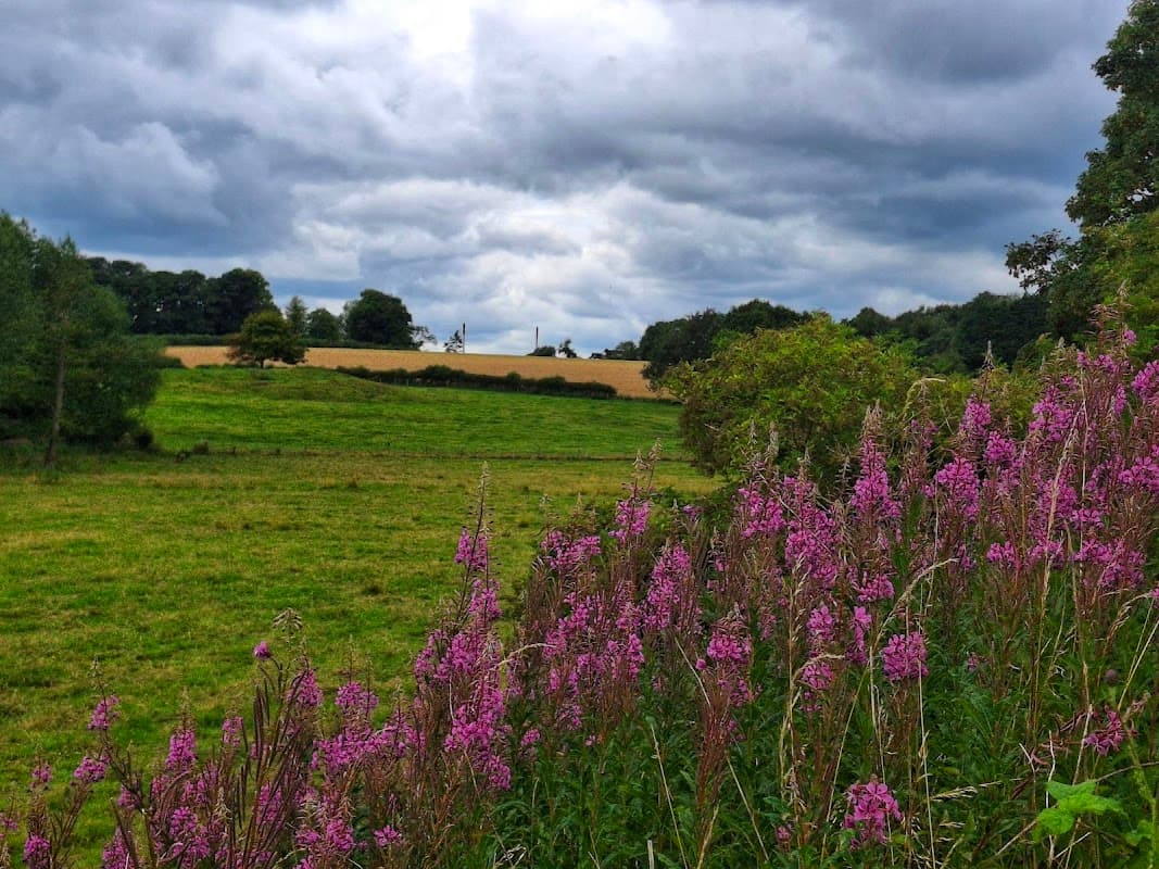 Wetherby Bike Track - BMX Tracks in wetherby