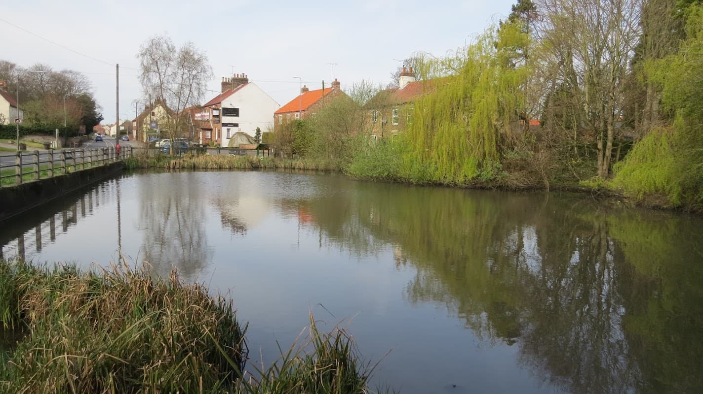 Serene pond reflecting houses and trees along Wetwang Main Street, with greenery and a clear sky above.