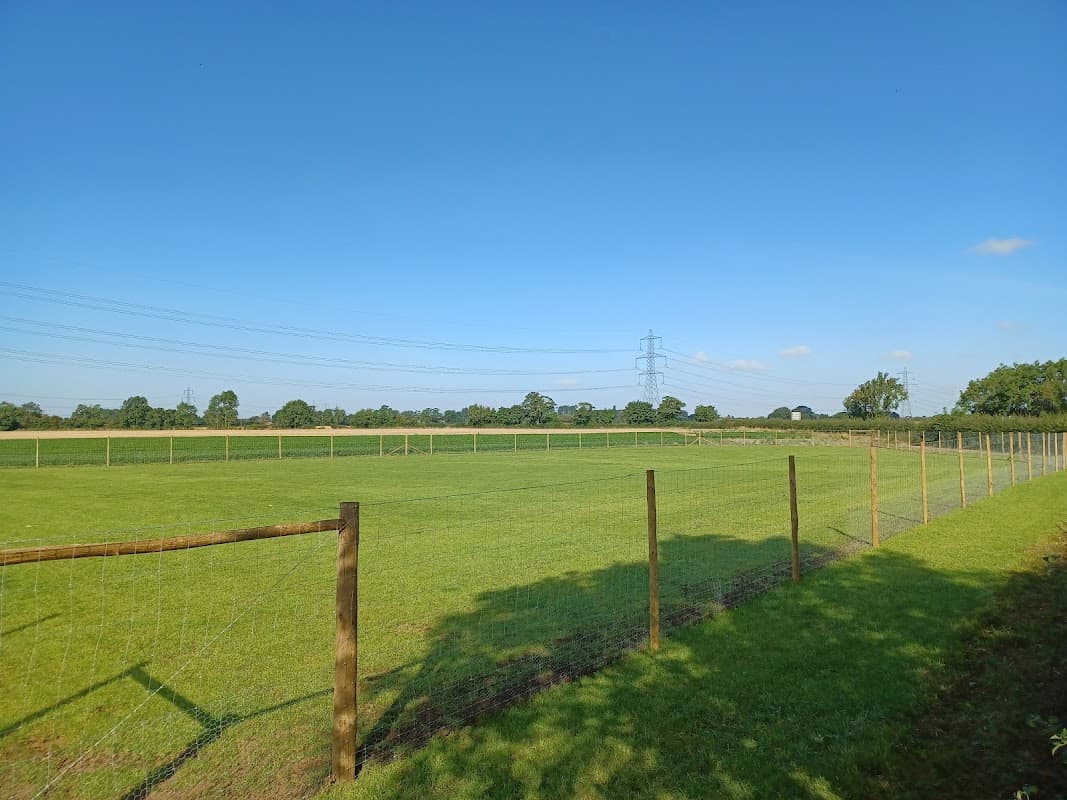 Spacious fenced dog park with lush green grass, clear blue sky, and distant trees in Wilberfoss, Yorkshire.