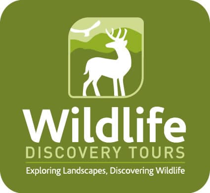 Wildlife Discovery Tours - Tour in scorton
