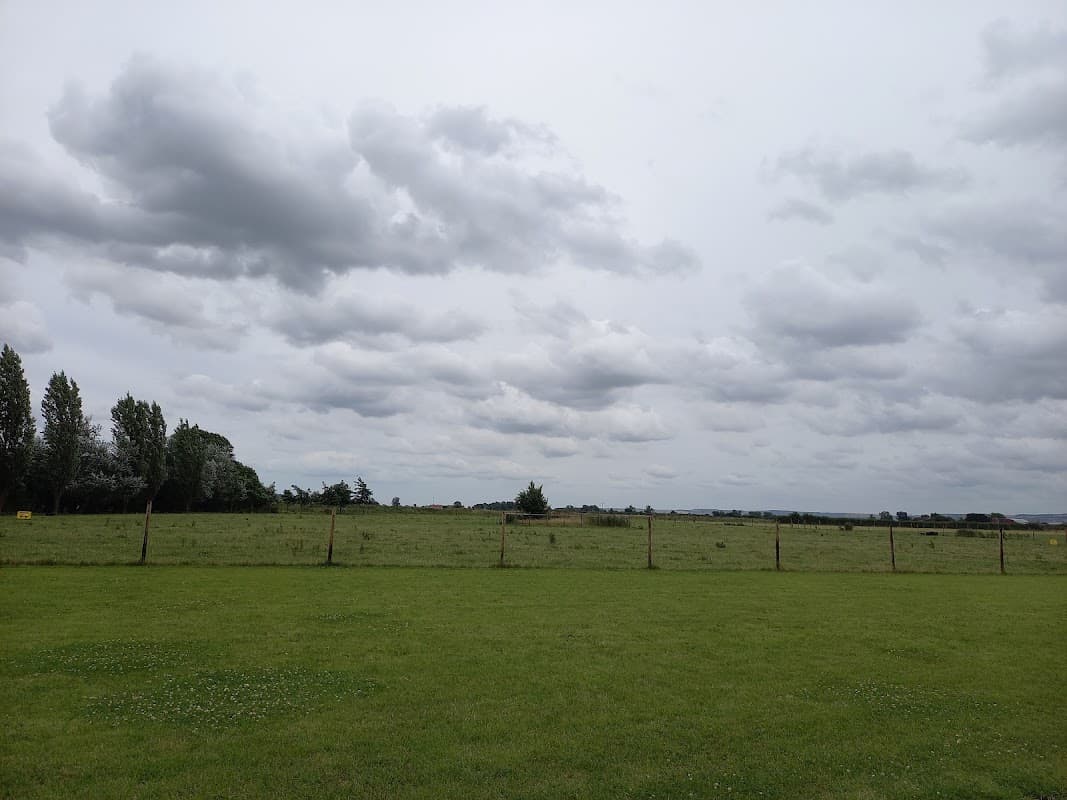 Expansive green field under a cloudy sky, with a distant fence and trees lining the horizon.