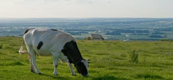 Wolds Way Caravan and Camping - Campsite in wintringham