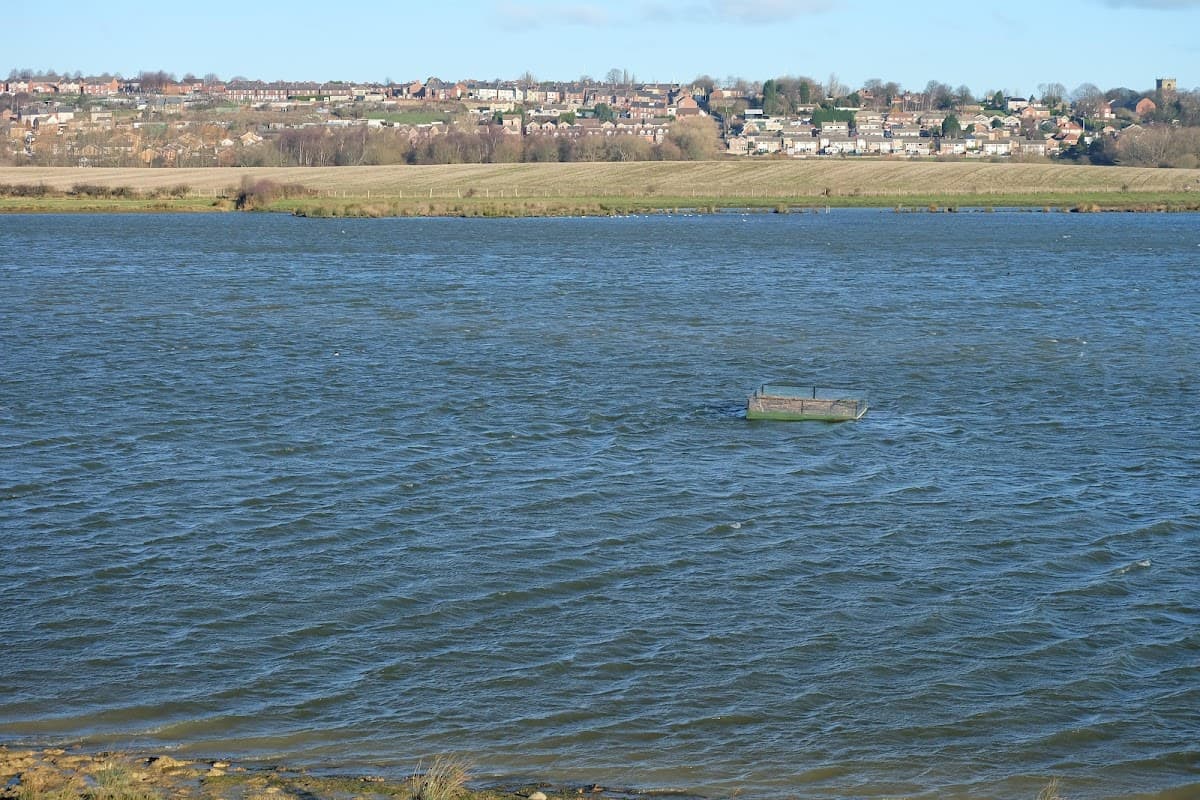 Broomhill Flash Nature Reserve - Nature Reserves in wombwell