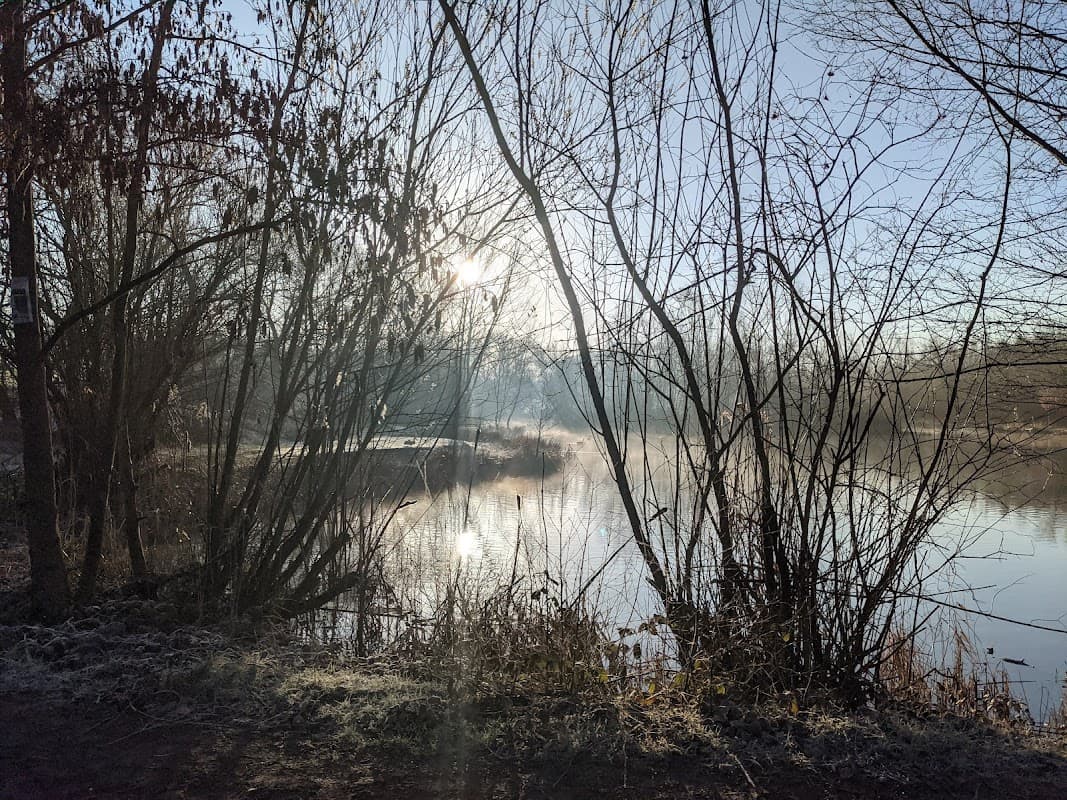 Sunlight filters through bare trees, illuminating a misty lake surrounded by frosty vegetation.
