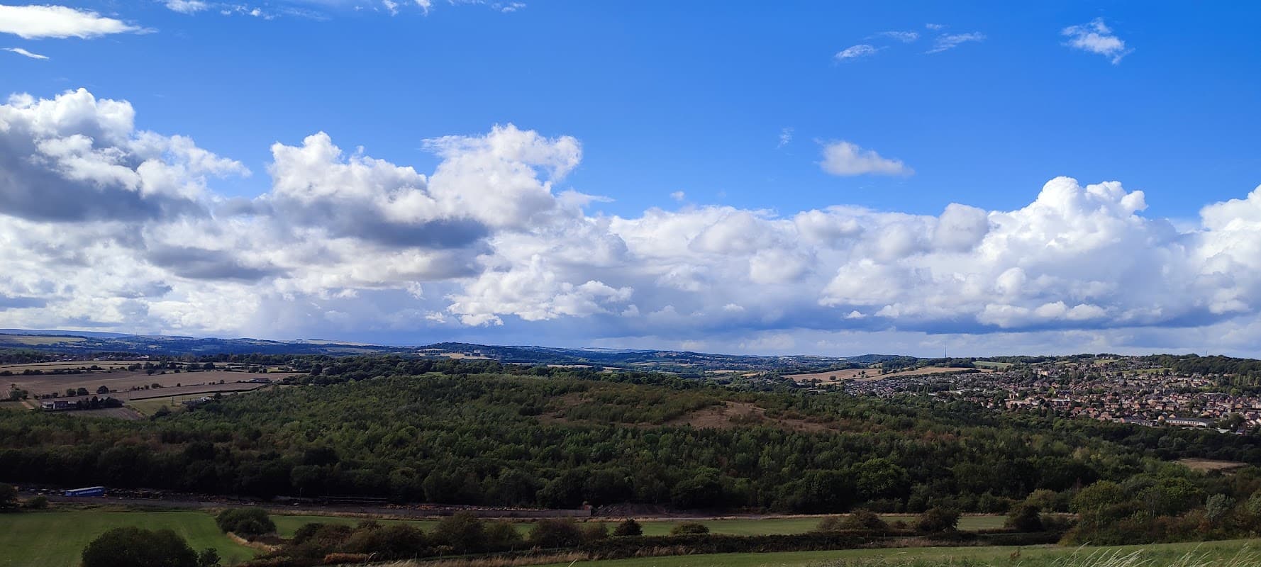 Wombwell woods - Park in wombwell