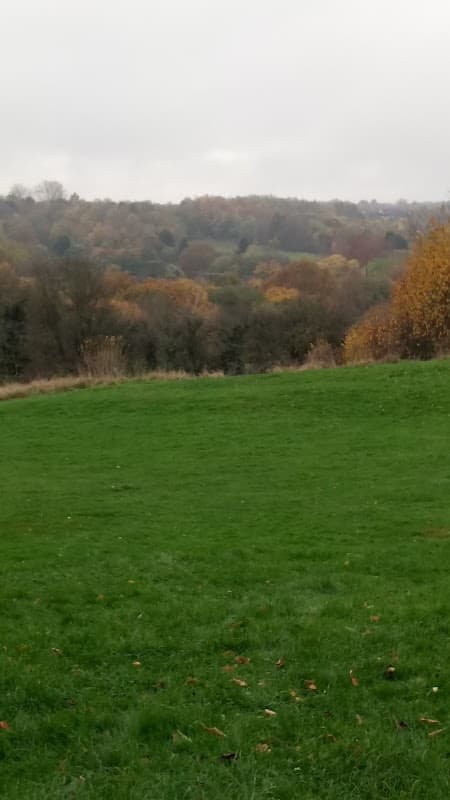 Amphitheatre - Theatre in woodhouse