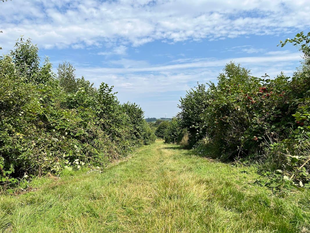 East Park Fields - Park in woodhouse