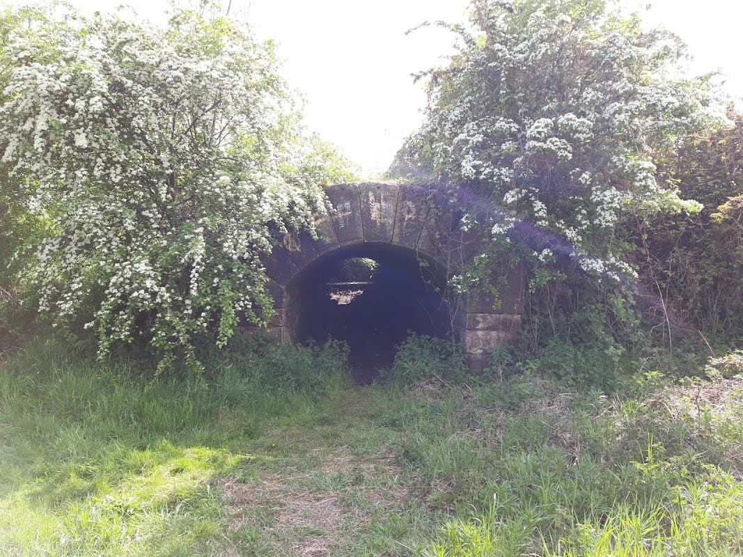 Peter Pan's Cave - Caves in woodhouse