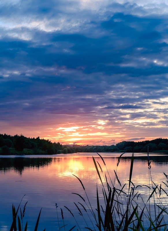 Treeton Dyke - Park in woodhouse