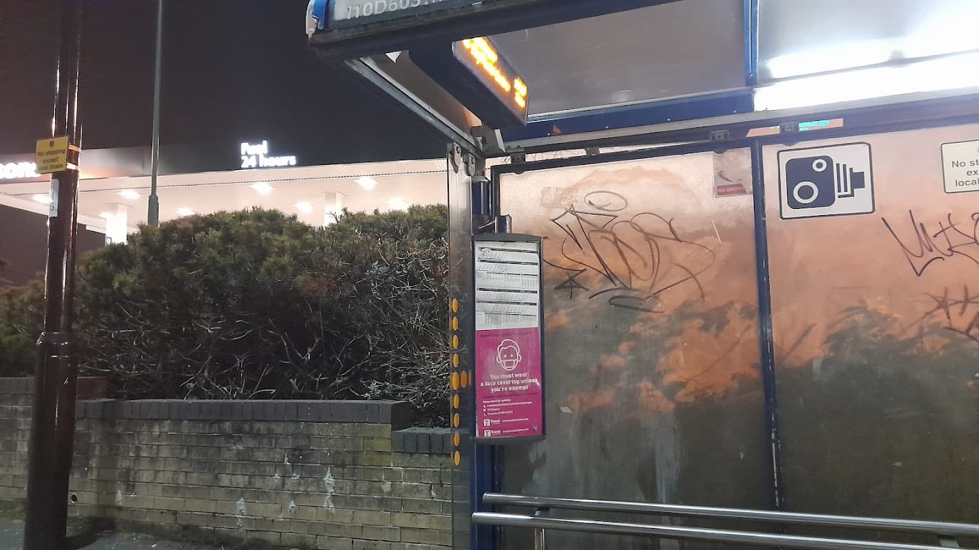 Bus stop with graffiti on the glass, illuminated by nearby store lights, surrounded by dense shrubbery.