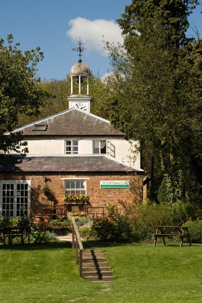 Cafe World Peace Cafe in pocklington