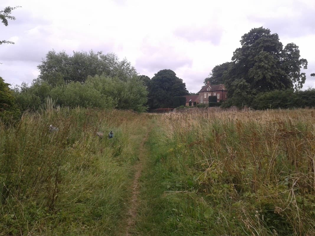 Fulford Ings - Walks & Hiking in york
