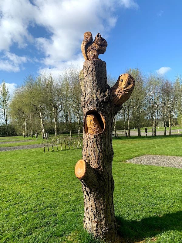 Nurseries Caravan Park, York - Campsite in york