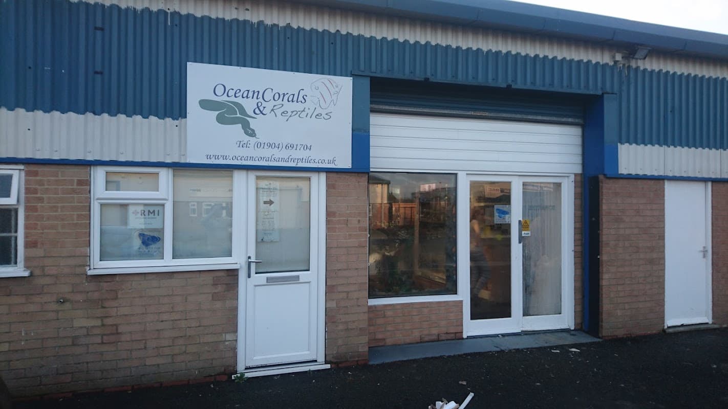 Sign for "Ocean Corals & Reptiles" above a storefront with a glass door and windows, located in York, Yorkshire.
