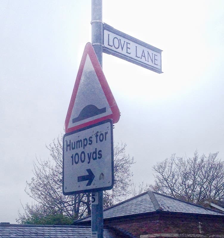 Street sign for Love Lane with a warning sign for humps ahead, surrounded by trees and a cloudy sky.