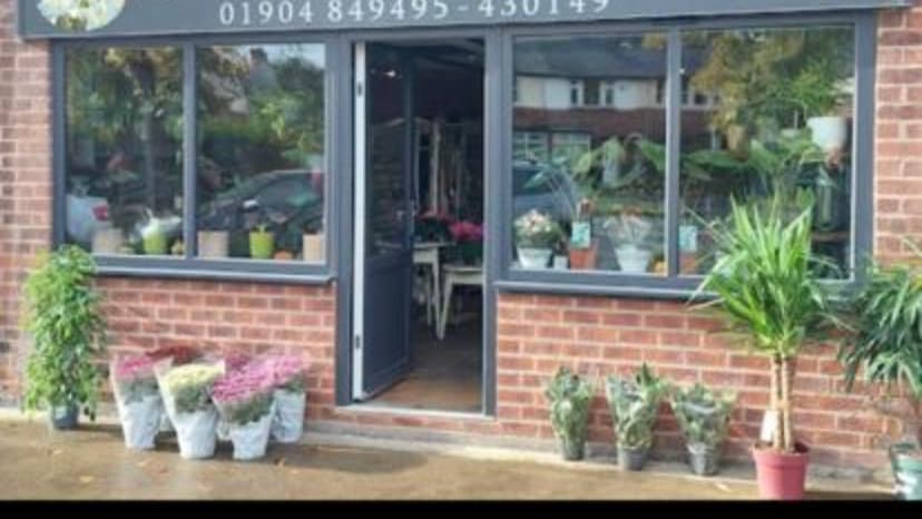 Bright storefront of York Fresh Flowers, featuring potted plants and flowers outside, with large windows showcasing interior displays.