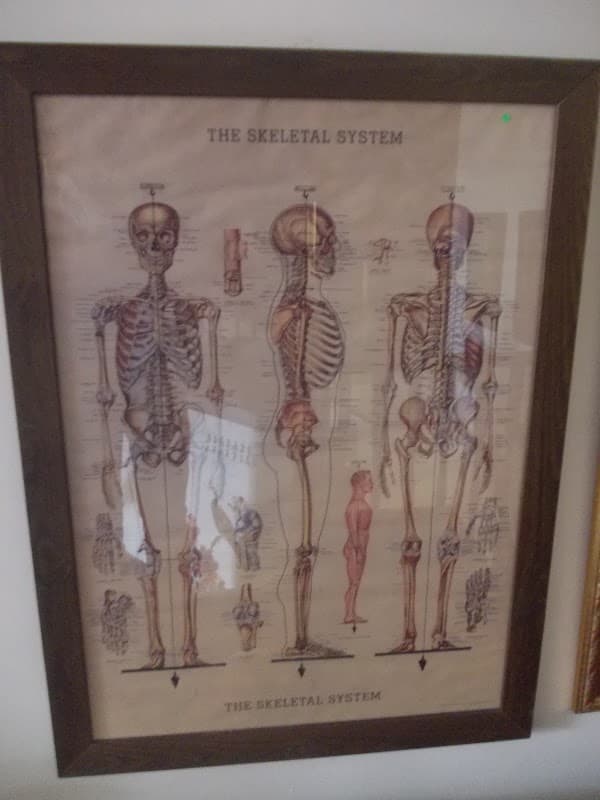 York Medical Group at Monkgate - Doctors in york