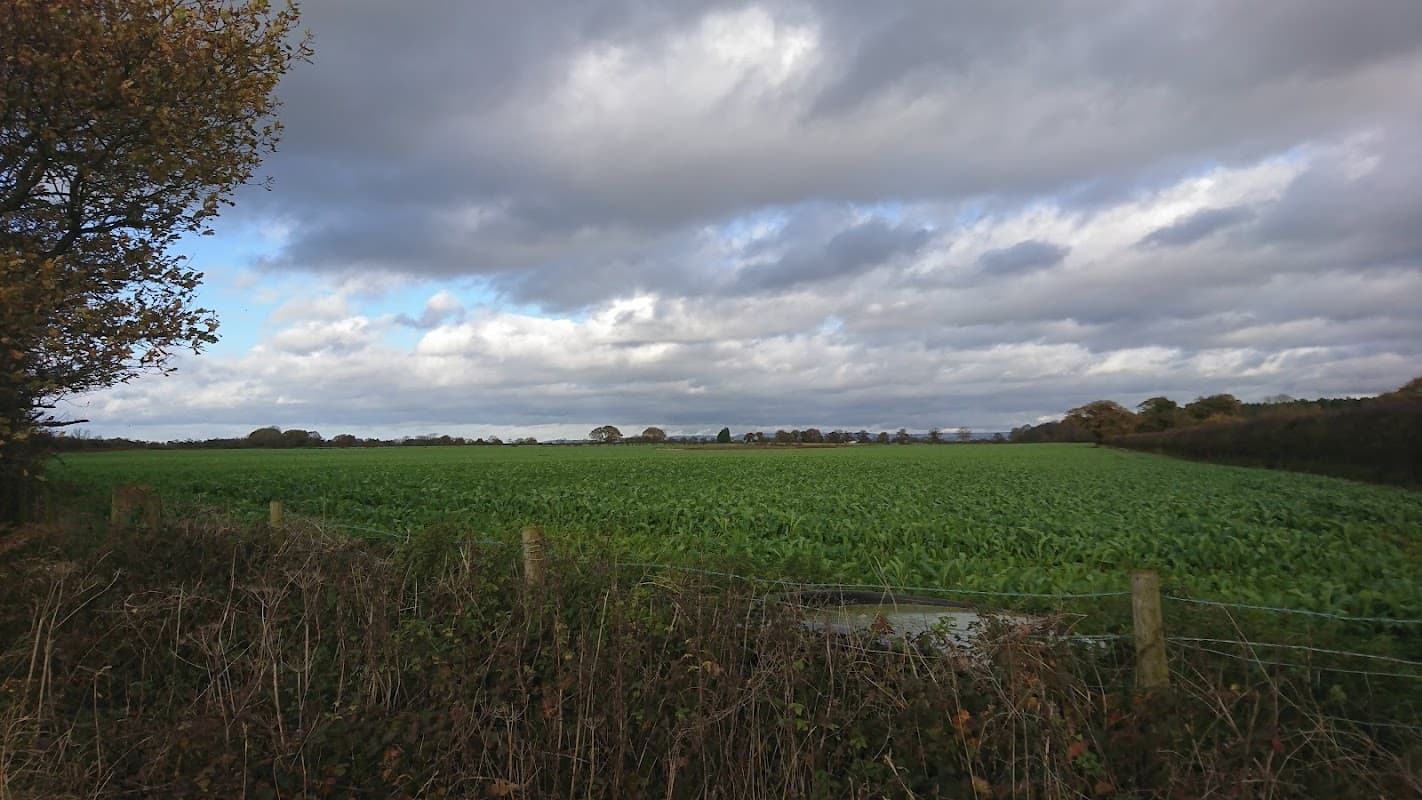 Lush green field under a cloudy sky, bordered by a fence and trees, in Youlton, Yorkshire.