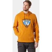 Brown Helly Hansen hoodie with Arctic Ocean logo, drawstring hood, and ribbed cuffs, worn by a male model.