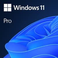 Windows 11 Pro OEM License box with blue abstract wave design and Microsoft logo.