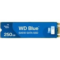 Blue Western Digital 250GB M.2 SATA SSD with branding and gold connector edge
