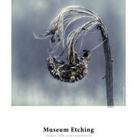 Hahnemühle Museum Etching paper, natural white, matte finish, featuring a detailed botanical illustration.