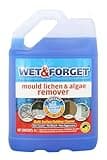 Wet & Forget blue 5L container with handle, labeled for mould, lichen, and algae removal, bleach-free formula.