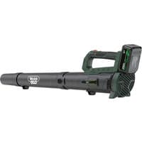 Green Webb 20V garden blower with black nozzle, 4Ah battery, ergonomic handle, and charger.