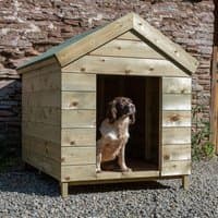 Wooden dog kennel with pitched roof, natural finish, and open front, measuring 4'2 x 3'6 by Forest Garden.
