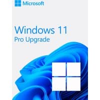 Windows 11 Pro Upgrade box with blue abstract swirl and white Windows logo on a light gray background.
