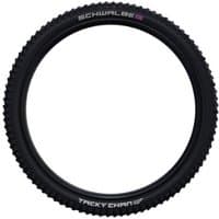 Black Schwalbe Tacky Chan Evo 29" mountain bike tire with knobby tread and white branding on the sidewall.