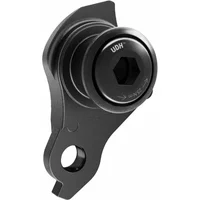 Black SRAM aluminium derailleur hanger with hexagonal bolt and mounting hole.
