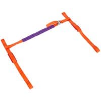 Orange Sealey TDMCHB tie down with purple padded handlebar strap and adjustable buckles.