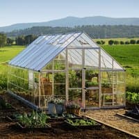 Silver Palram Canopia Balance greenhouse, 10' x 16', with clear panels and sturdy frame, set in a lush garden.