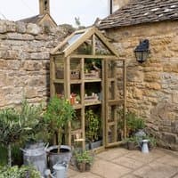 Tall wooden lean-to greenhouse with glass panels, auto vent, and shelves, set against a stone wall.