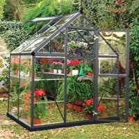 Grey polycarbonate greenhouse with clear panels, sloped roof, and open door, surrounded by lush greenery.